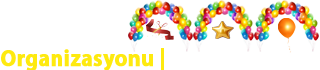 İstanbul Açılış Organizasyonu logo